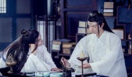 陈情令在线费观看,沉浸式体验，解锁青春奇幻之旅