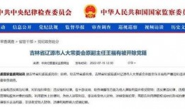 吉林长春今日爆料消息,揭秘今日热点事件背后的真相